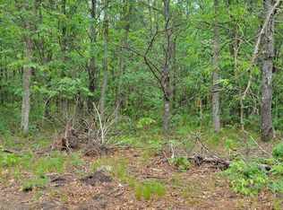 Vl Weekend Ln, Baldwin, MI 49304