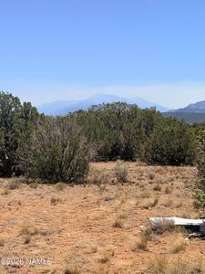 4209 E Parkway Dr, Williams, AZ, 86046