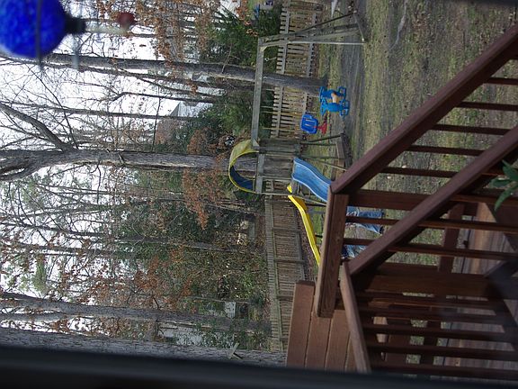 View From Kitchen Window