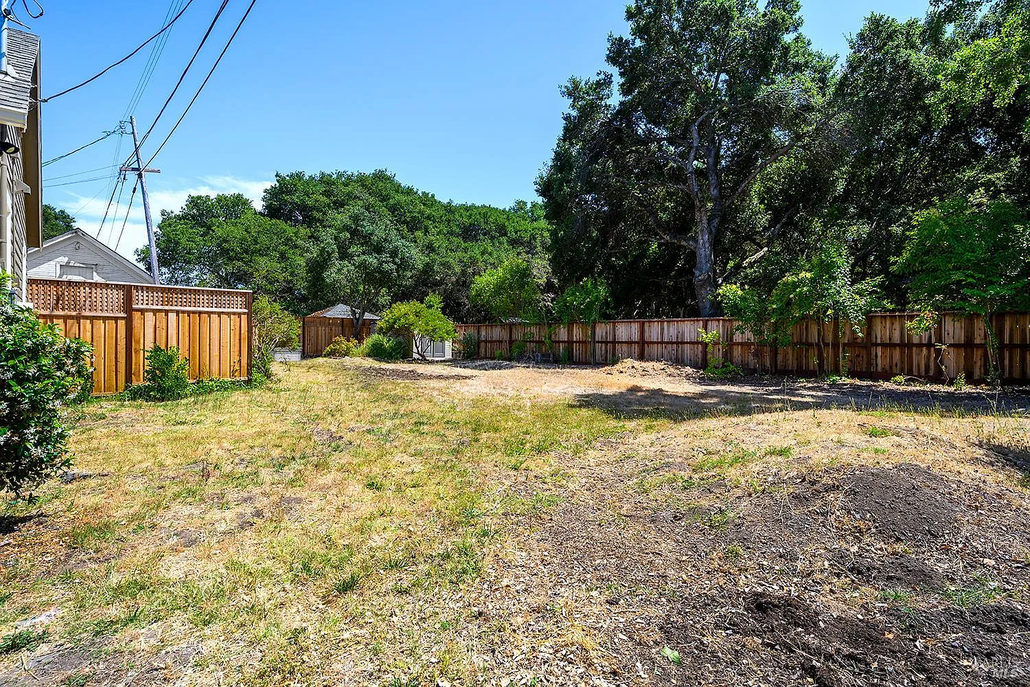 732 Petaluma Boulevard S - Photo 12