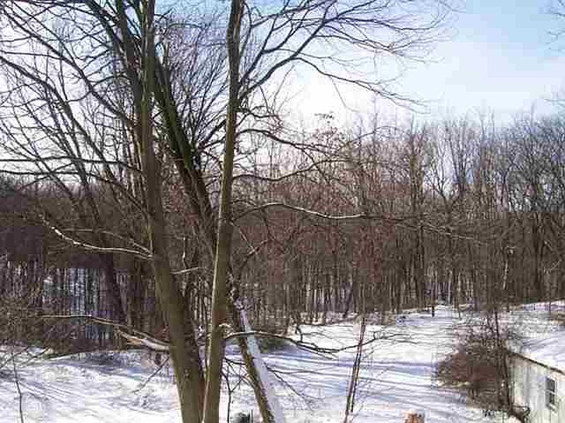 3rd image of 1497 RED MILL Road