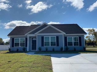 100 Pumpkin Ash Loop, Conway, SC 29527