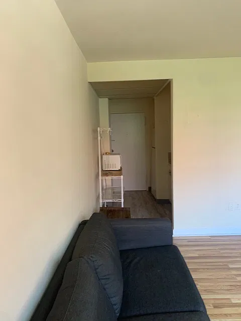 Studio, 401 sqft, $1,800 — Photo 4
