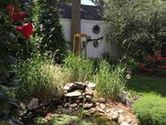 Pond in backyard