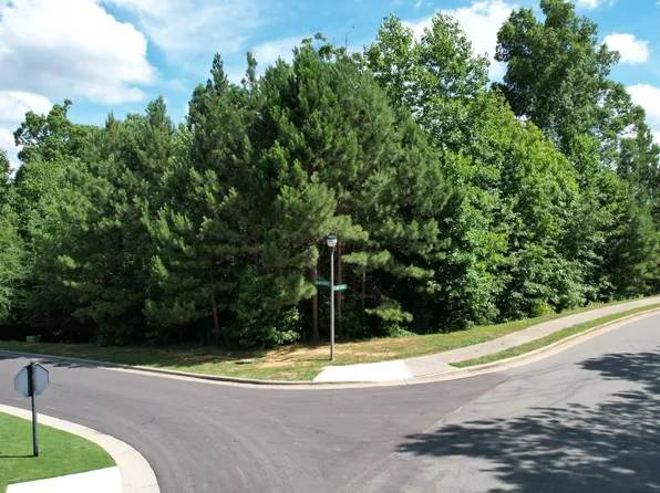 16 Deep Crk #460, Pittsboro, NC 27312