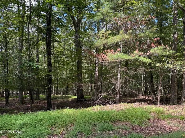 Cedar Ridge Rd, Hawley, PA 18428