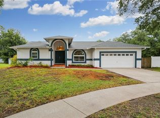 1255 Kayak Cv, Lutz, FL 33559
