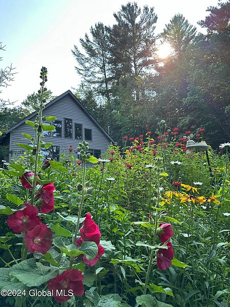 2nd image of 113 Wells Road