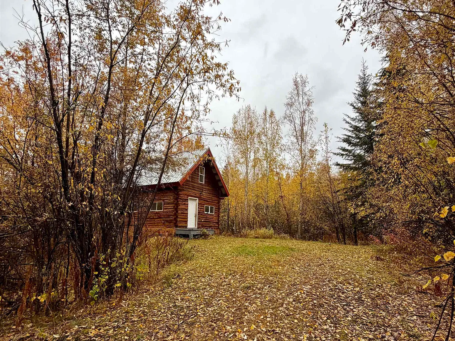 1 bed, $1,200 — Photo 2