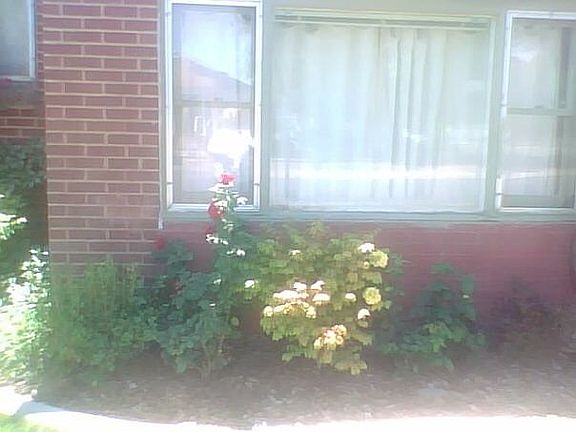 B4 new windows & shutters