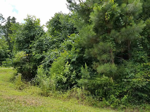 4th image of 17 Rosewood Ct #614