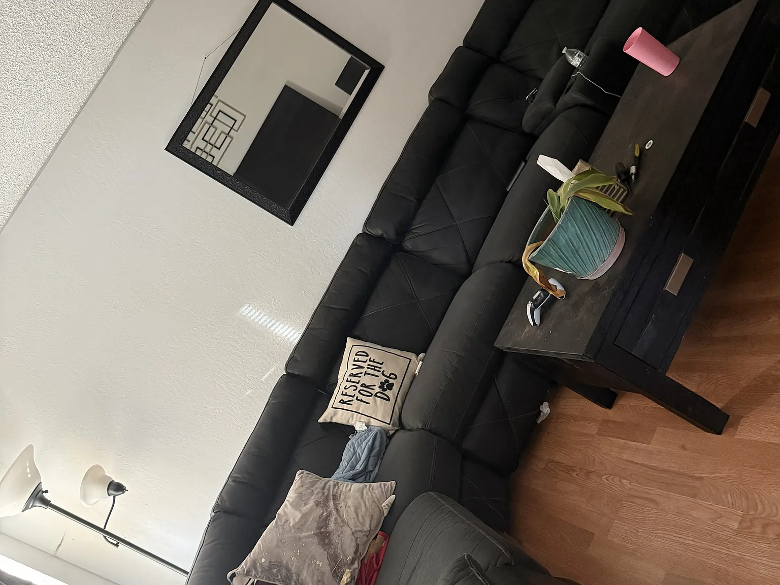 2 bed, 834 sqft, $1,900 — Photo 3