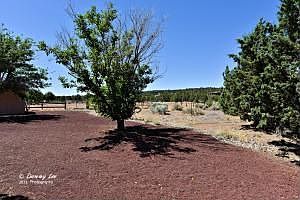 4th image of 1117 Homestead Dr W