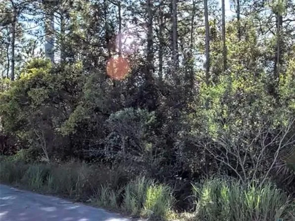 International Dr S Lot 12, Orlando, FL 32821