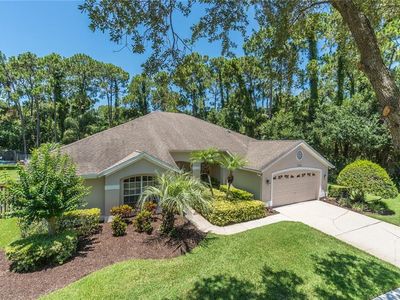 12410 Ashville Dr, Tampa, FL, 33626