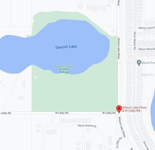 W Libby Rd, Groveland, FL, 34736