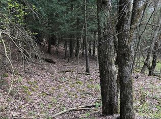 Monson Rd, Monson, NY 13335