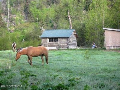 40652 Dave Rd, Homer, AK, 99603