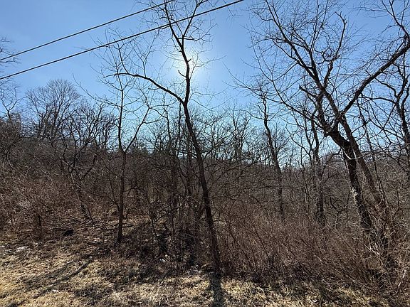 2nd image of 0 Saxonburg Blvd