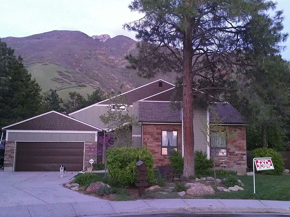 Your new mountain home!  Dog not included.
