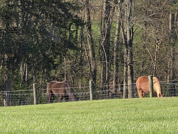 5th image of 2728 Taylorsville Rd
