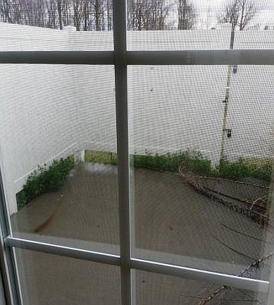 Back Patio