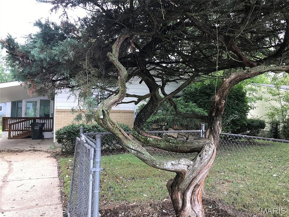 1st image of 8 Redbud Ln