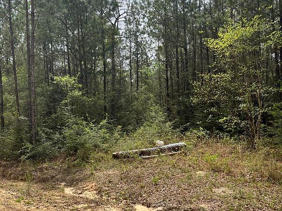 2nd image of 21 Range Line Rd