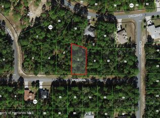 3231 W Talinum Pl, Citrus Springs, FL 34433