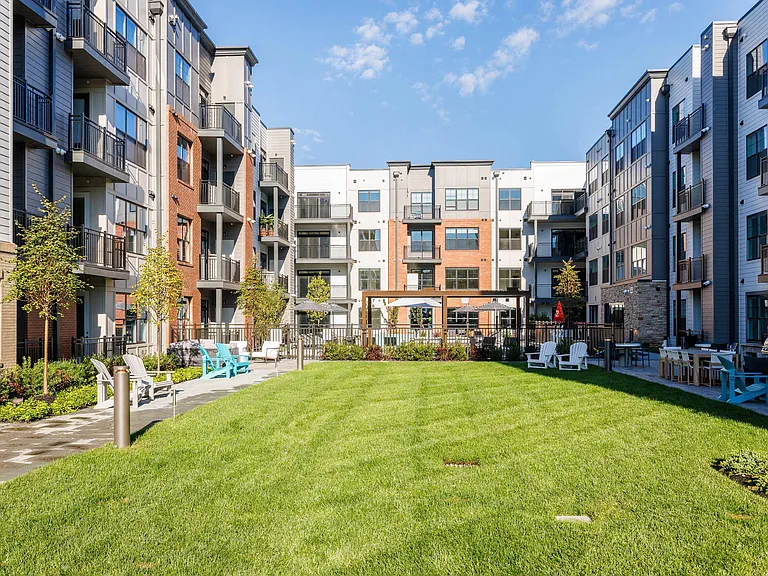 Aster Grove — Photo 42