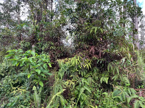 Seaview Rd Lot 62, Pahoa, HI 96778
