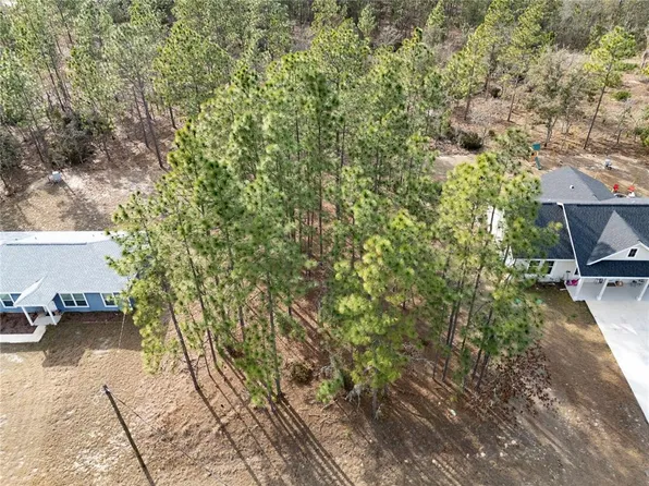 NE 150th Ave Lot 12, Williston, FL 32696