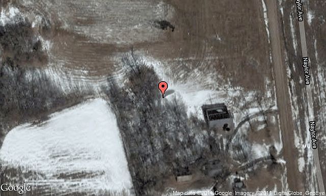 Map View
