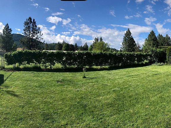 Back Yard Fence covered in Beautiful Plants & Vines