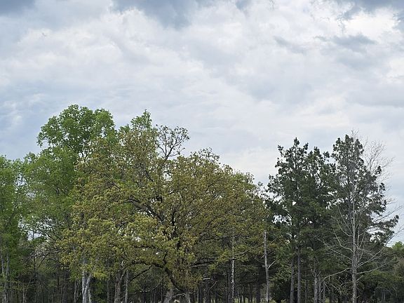 4th image of 0 Kedron Rd Lot 4