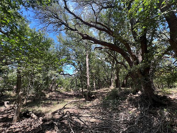 2nd image of 137 County Road 137
