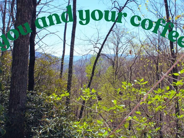 1557 Mountain Laurel Dr, Franklin, NC 28734