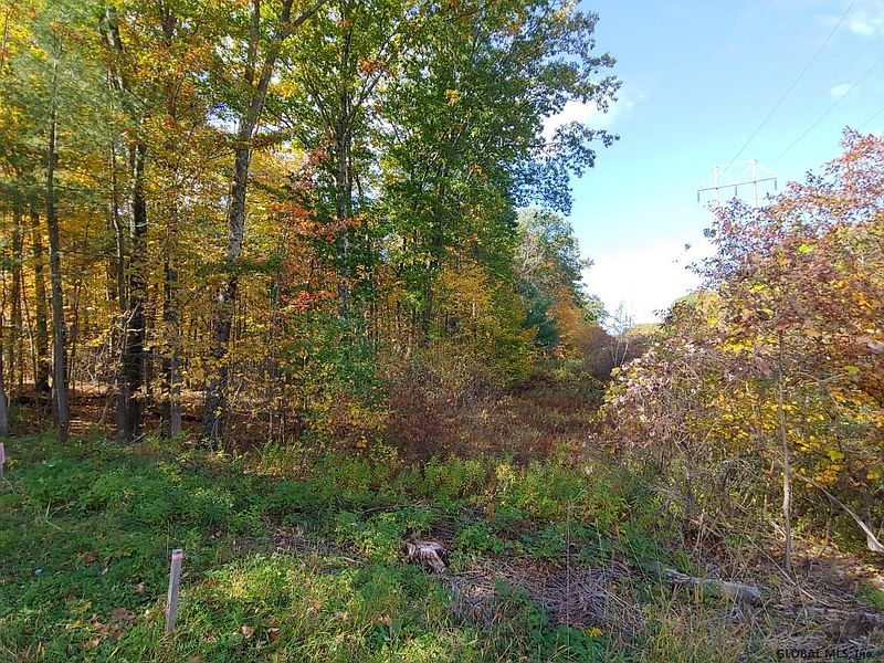 3rd image of 00 COUNTY ROUTE 52 #Corner of Meader Rd & County R