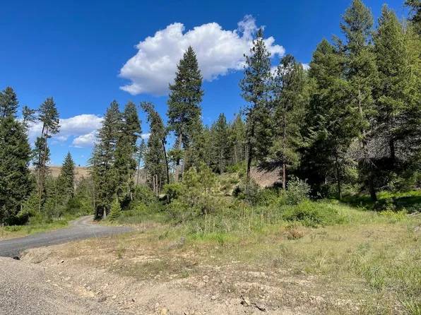 LOT 1 Blue Jay Bob White Ln, Davenport, WA 99122