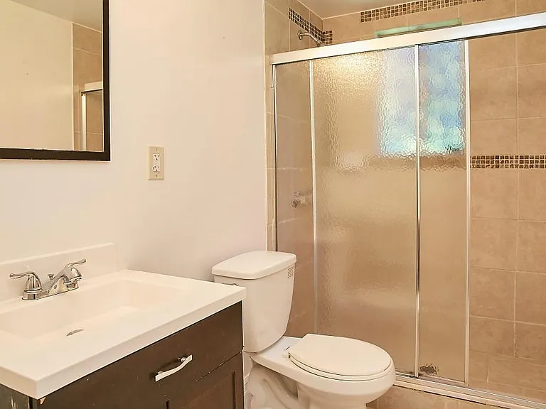 Lower level full bathroom