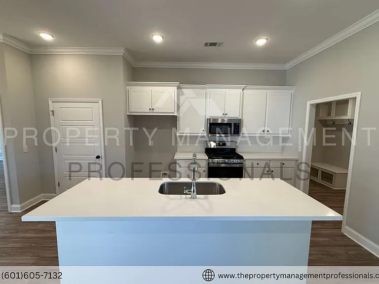 563 Patrick Farms Dr — Photo 18