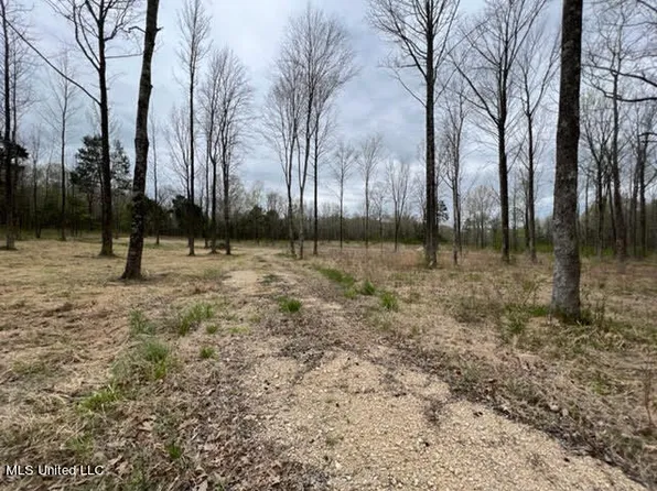 Dogwood Rd #9, Byhalia, MS 38611