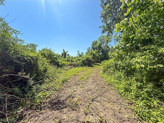 5th image of LOT 3 Altamont Rd