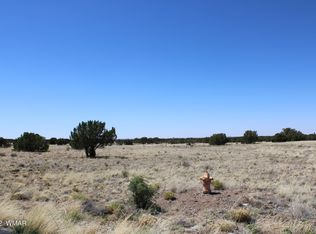 7688 Arroyo Plata Dr, Show Low, AZ 85901