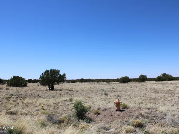 7688 Arroyo Plata Dr, Show Low, AZ 85901