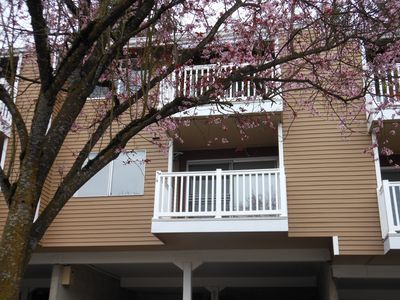 8632 164th Ave NE APT 102, Redmond, WA, 98052