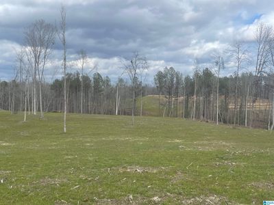 1 Truman Aldrich Pkwy #20, West Blocton, AL, 35184