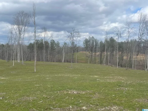 1 Truman Aldrich Pkwy #20, West Blocton, AL 35184