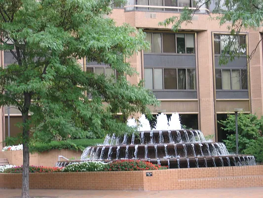 Rented by Vipler Realty | media 9