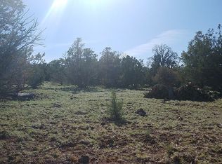 872 E Wampum Ln, Williams, AZ 86046